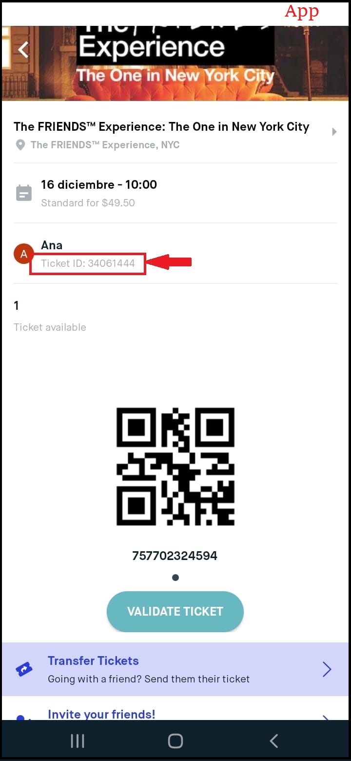 Ticket_ID_in_app.jpeg